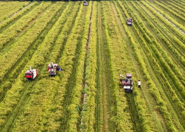 镕盛融资 今日秋分，节日快乐！