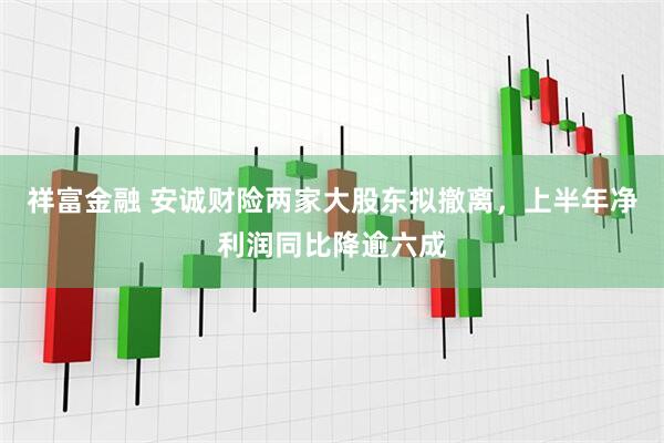 祥富金融 安诚财险两家大股东拟撤离，上半年净利润同比降逾六成